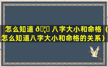 怎么知道 🦁 八字大小和命格（怎么知道八字大小和命格的关系）